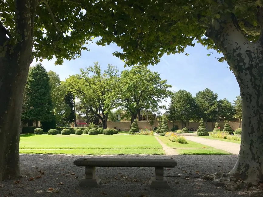 Taille de haie et entretien jardinier en cours