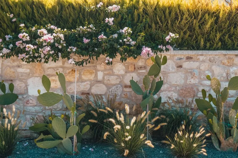 Jardin mediterraneen amenage en Pays d'Aix